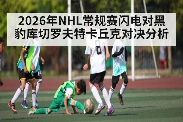 2026年NHL常规赛闪电对黑豹库切罗夫特卡丘克对决分析
